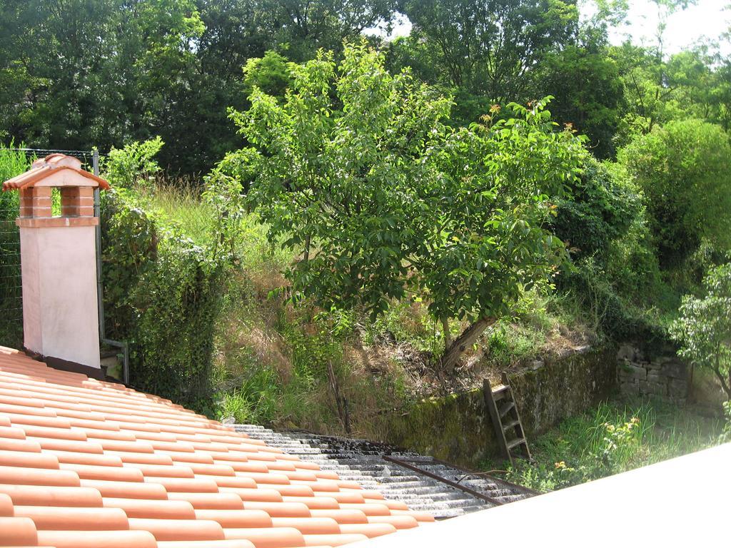 Apartments Alen Pazin Extérieur photo