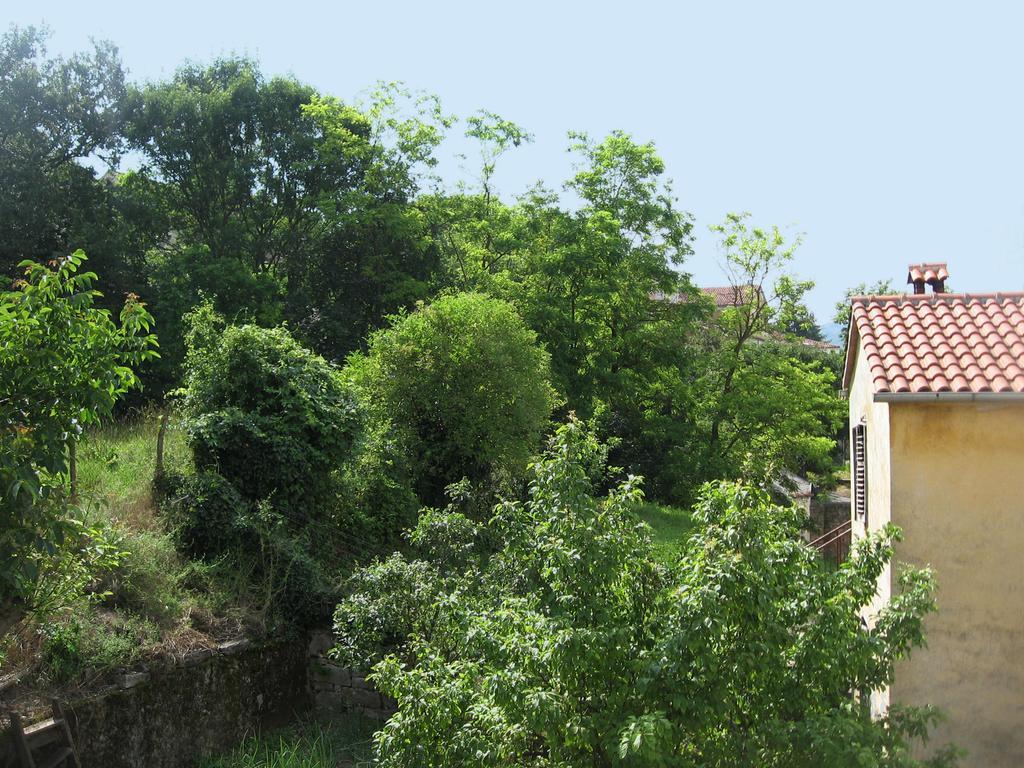 Apartments Alen Pazin Extérieur photo