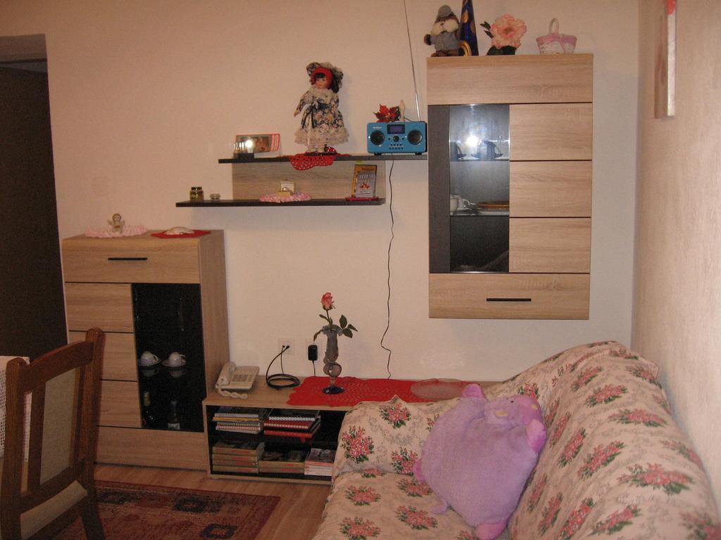 Apartments Alen Pazin Extérieur photo